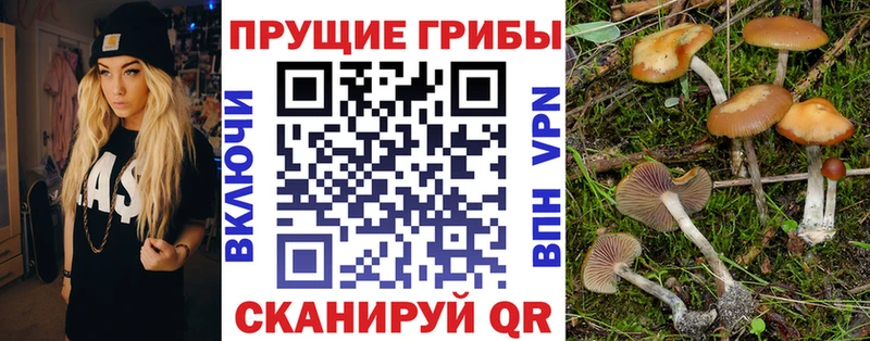 мега ССЫЛКА Афипский Галлюциногенные грибы мухоморы