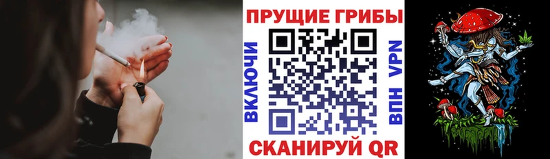 Галлюциногенные грибы GOLDEN TEACHER Афипский