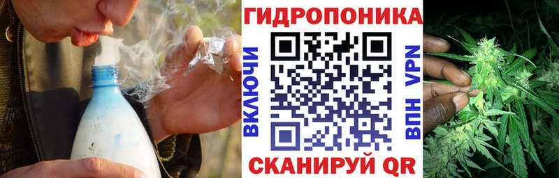 Шишки марихуана план  Афипский 